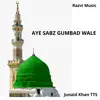Junaid Khan TTS - Aye Sabz Gumbad Wale - Single